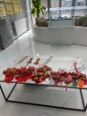 嘉泰物業(yè)|端午節(jié)，揚(yáng)帆日，一“粽”定乾坤！